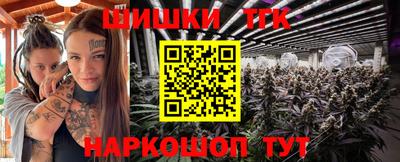 jwh Гатчина