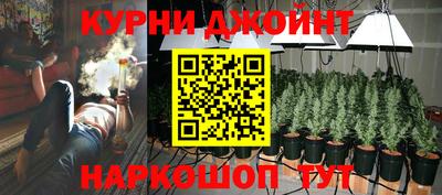 jwh Гатчина