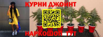 кокаин Гай