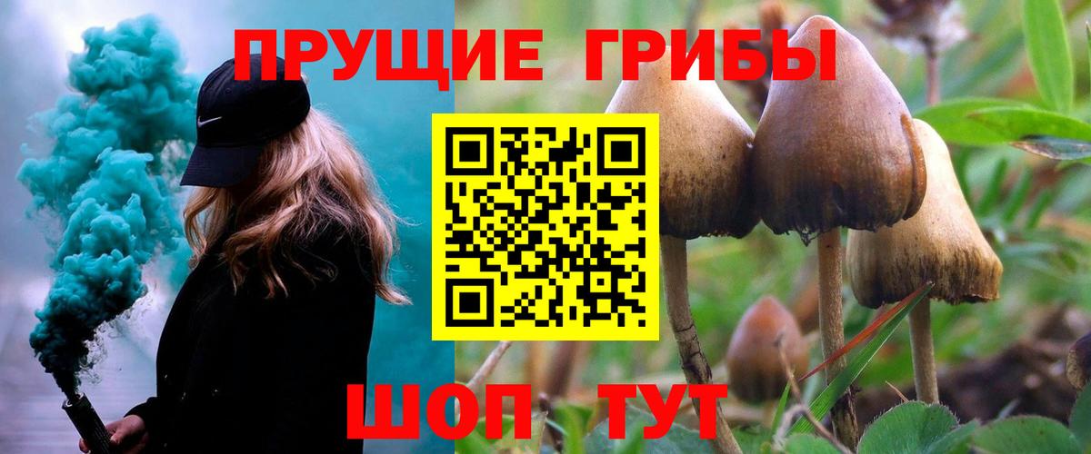 как найти закладки  Псилоцибиновые грибы мицелий  Псилоцибиновые грибы GOLDEN TEACHER  Вход с VPN  Партизанск 